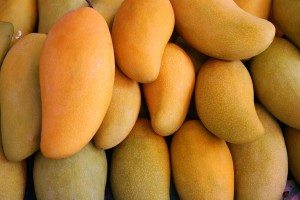 Twelve tonnes of artificially-ripened mangoes destroyed by FDA in Goa