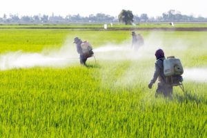 FSSAI Notifies Amendment Regulations Related to Removal of Banned Pesticides