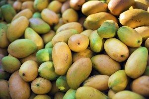 Mangoes for Sale