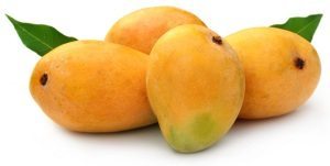 Food Trade: Export of Mangoes to EU will Resume Soon