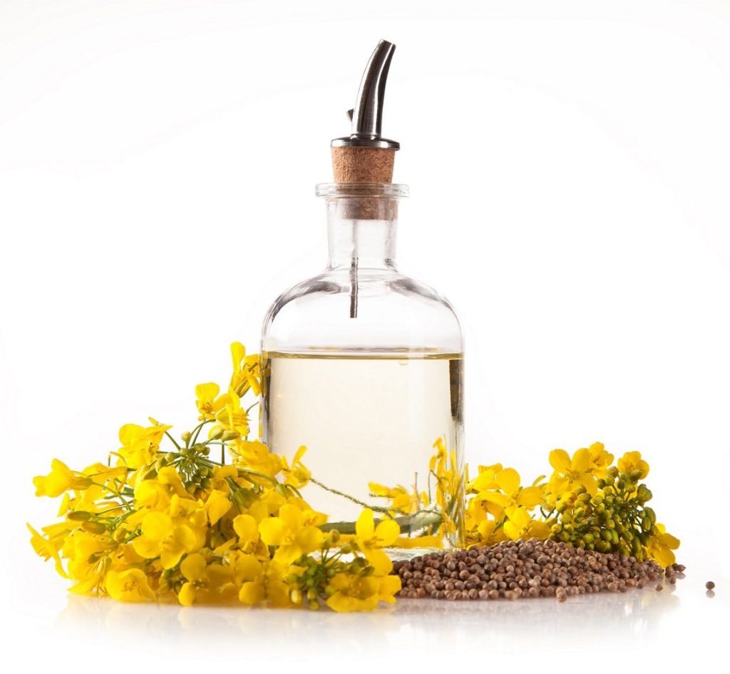 No Relabelling of Canola Oil Says Supreme Court