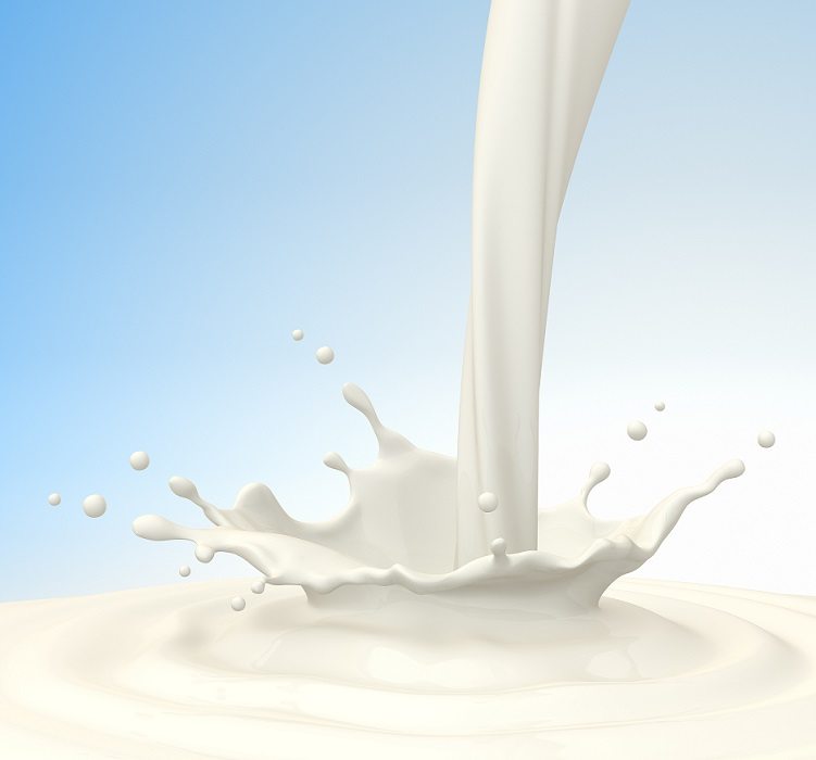 Definition & Meaning of Skim milk
