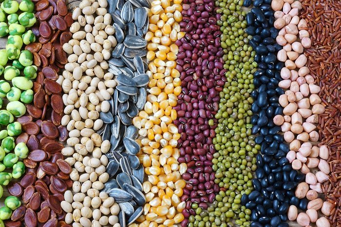 FSSAI publishes Guidance Note on Pulses & Besan
