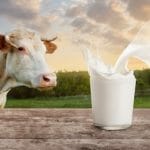 FSSAI Holds Joint National Consultation on Milk Federation with TATA Trusts and NDDB