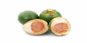 FSSAI Issues Letter Related to Import of Areca/Betel Nuts