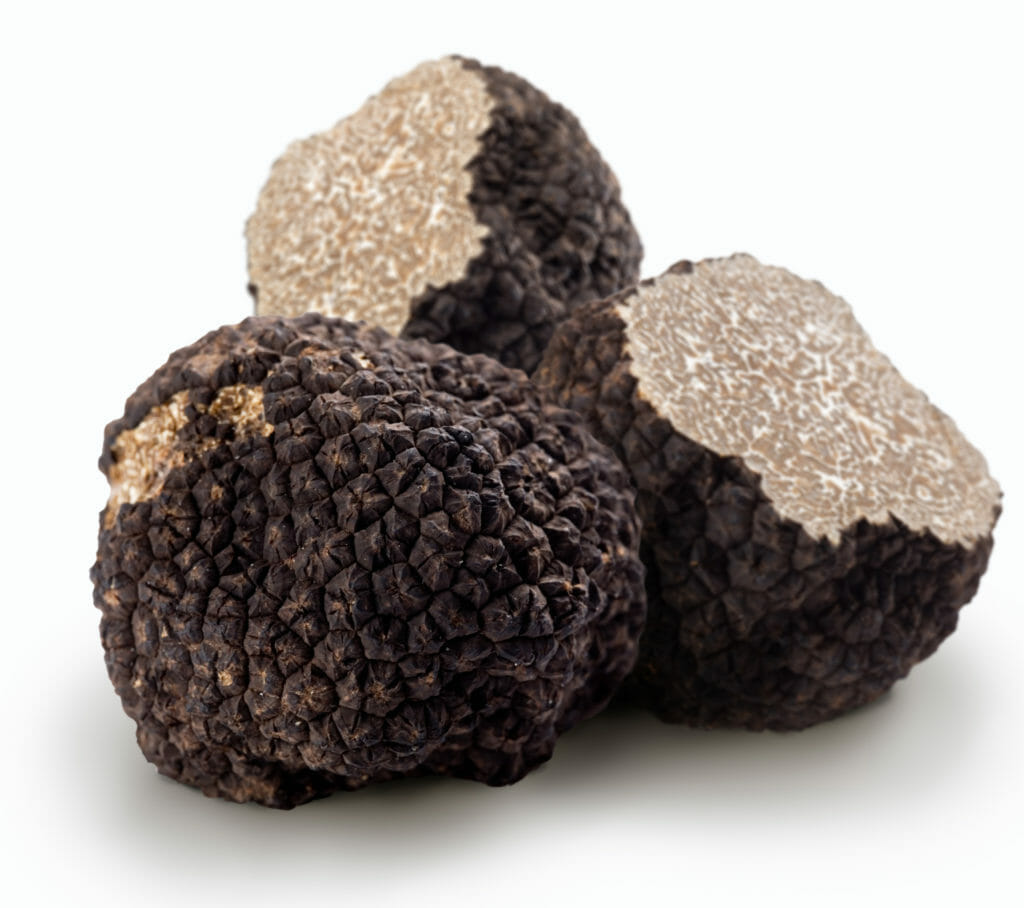 FSSAI Issues Instructions Regarding Import of Edible Truffle Species