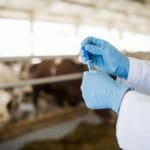 New Confirmatory Screening Test Method for Detecting Veterinary Drug Residues in Foods